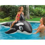 INTEX Whale Ride-On 58561 078257585618