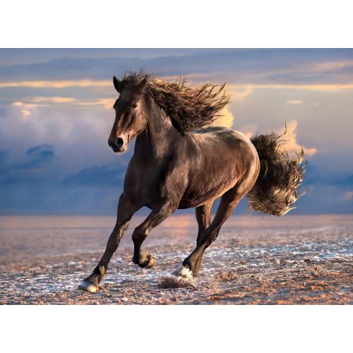 Clementoni Puzzle High Quality Collection Free Horse 1000 Pcs 1220-39420 8005125394203