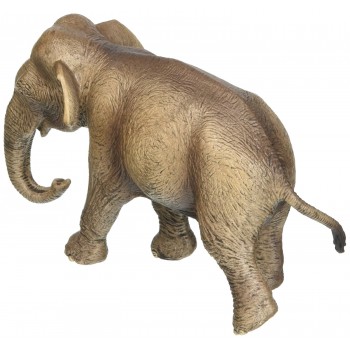 Schleich Wild Life Ελέφαντας Ασίας Θηλυκός 14753 4005086147539