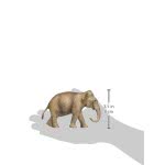 Schleich Wild Life Ελέφαντας Ασίας Θηλυκός 14753 4005086147539