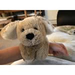 Gialamas Mini Zookiez Plush Pets 23Cm. - 5 Designs 5481 4897044207436