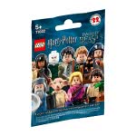 LEGO Minifigures Harry Potter And The Fantastic Beasts 71022 5702016108668