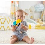 Mattel Μελισσούλα / Φυλλαράκι DTH49 / ASST 887961354935