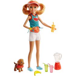 Mattel Barbie Αδελφούλες Επαγγέλματα: Stacie Κούκλα Με Κουταβάκι FHP61 / FHP63 887961526899