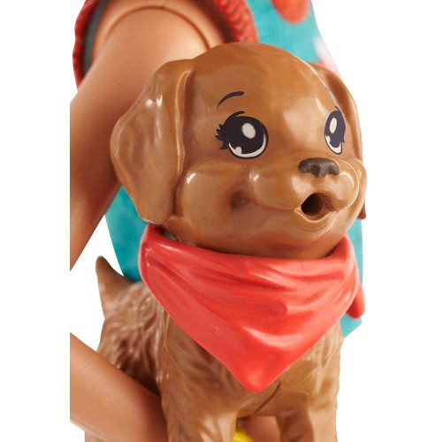 Mattel Barbie Stacie Doll With Puppy FHP61 / FHP63 887961526899