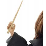 Mattel Harry Potter - Hermione Granger FYM51 887961707137