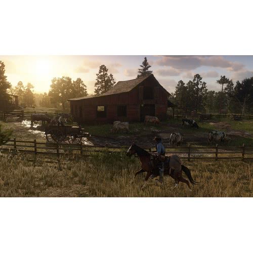 ROCKSTAR GAMES PS4 Red Dead Redemption 2  5026555423052