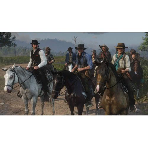 ROCKSTAR GAMES PS4 Red Dead Redemption 2  5026555423052
