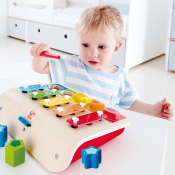Hape S Sorter Xylophone E0334 6943478018990