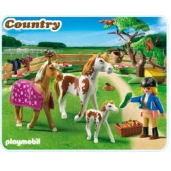 Playmobil Περίφραξη Με Άλογα Και Πουλάρι 5227 4008789052278