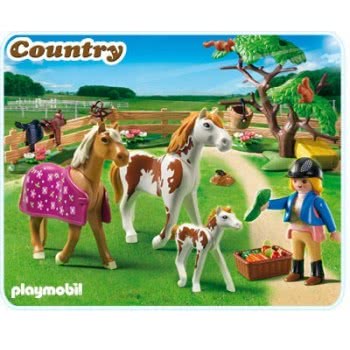 Playmobil Περίφραξη Με Άλογα Και Πουλάρι 5227 4008789052278