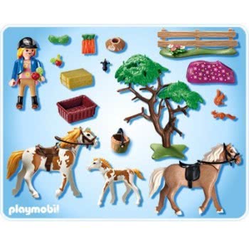 Playmobil Περίφραξη Με Άλογα Και Πουλάρι 5227 4008789052278