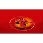 LEGO Ninjago Spinjitzu Kai 70659 5702016367270