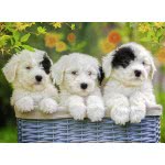 Ravensburger 200XXL Pcs Puzzle Puppies 12765 4005556127658