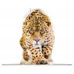 Ravensburger 4S Vision Παζλ 60 Τεμ. Wild Cats 18051 4005556180516