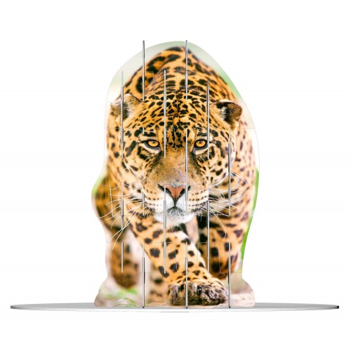 Ravensburger 4S Vision Παζλ 60 Τεμ. Wild Cats 18051 4005556180516