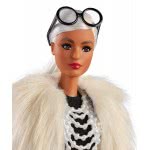 Mattel Barbie Collectible Doll Styled By Iris Apfel FWJ26 / FWJ27 887961674910