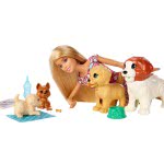 Mattel Barbie Doggy Daycare Doll And Pets FXH07 / FXH08 887961691290