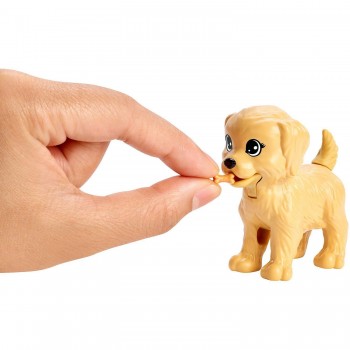 Mattel Barbie Doggy Daycare Doll And Pets FXH07 / FXH08 887961691290