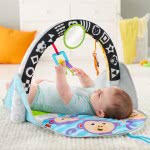Mattel 2 Σε 1 Flip And Fun Φορητό Γυμναστήριο FXC14 887961687330