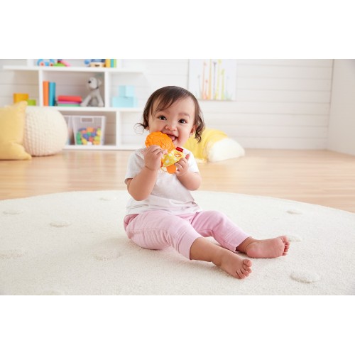 Mattel Teether Lion GFX87 / GBD97 887961712513