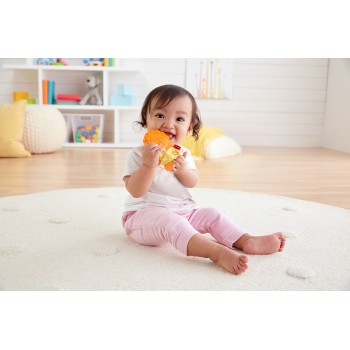 Mattel Teether Lion GFX87 / GBD97 887961712513