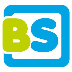 BS Toys