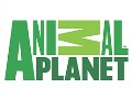 ANIMAL PLANET